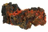 Crocoite Crystal Cluster - Adelaide Mine, Tasmania #147982-2